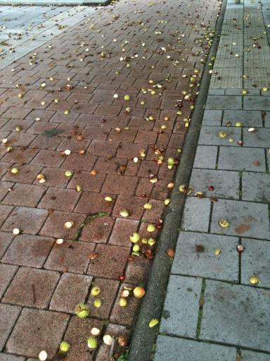 Walking2Forever's tweet photo. Herfst! http://t.co/rrMXPfcX