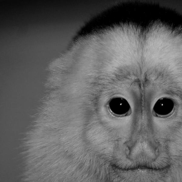 ☆● ☆● ☆● ED ●☆● ☆● ☆ |