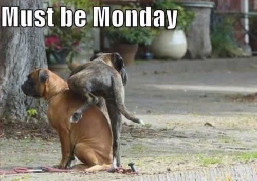 MensOfficeTalk's tweet photo. Happy Monday! http://t.co/dclZQmsA