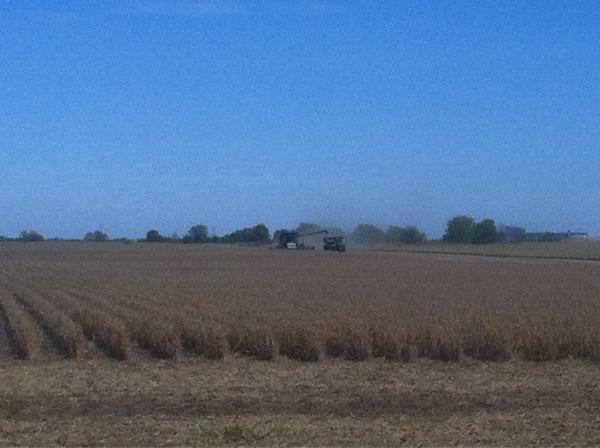 SaathoffNick's tweet photo. Soybean harvest ramping up in will and Kankakee counties. Early yield reports from 40 -55 bpa http://t.co/spM4KQF0