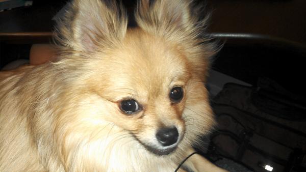 AlyciaStark's tweet photo. http://t.co/mbefv5Y4