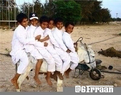 نقره لعرض الصورة في صفحة مستقلة