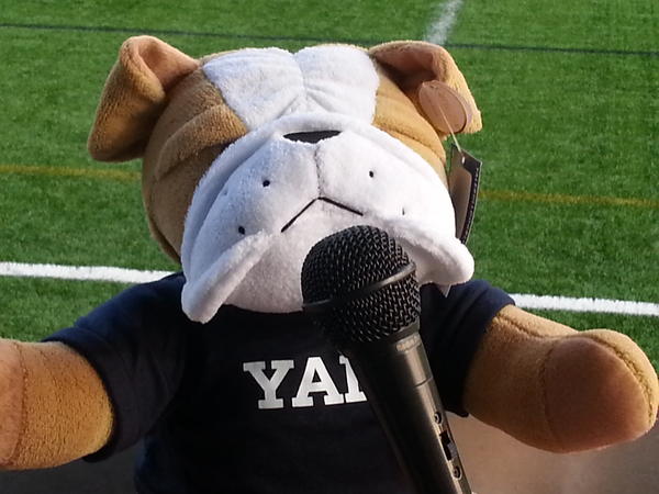 yale bulldog stuffed animal