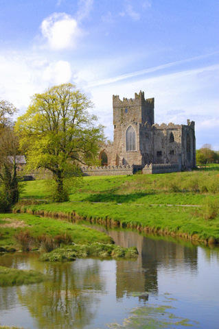 Tintern Abbey, Bannow