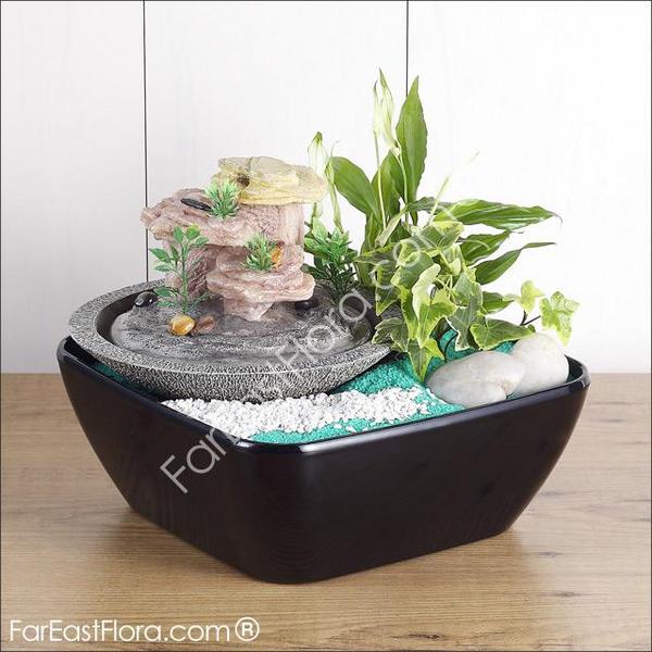 FEFMY's tweet photo. "Green Inspires" Promo - Zen Movements RM 229.42 (NP: RM 269.90) http://t.co/ScdTSA4H http://t.co/e6eFpX2y