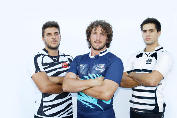 zebre rugby jersey