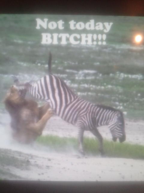 Watch ohhthatschaaai's leaked NSFW photo on TwXstars