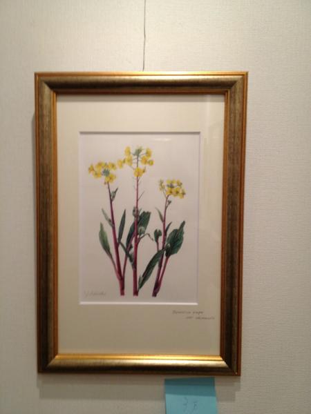83728's tweet photo. ボタニカルアート展覧会、
チャリティーせーるです。

会場は自由が丘
ステージゆう http://t.co/XeGfEAVZ