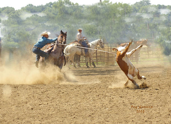 countrystudio's tweet photo. Country Art http://t.co/gDYsEC8O