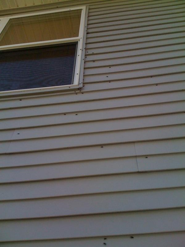 hkbreitbach's tweet image. how ill spend my day.. @sarahtripps #boxell