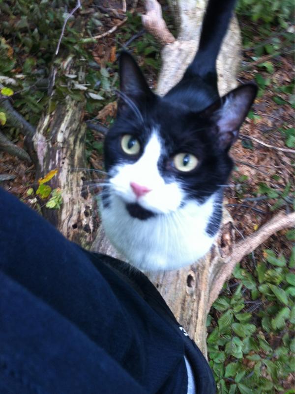 NameLessToMe's tweet image. Go listen to @KidsTheseDaysNJ just because a song by them is stuck in my head. Do it. Now.