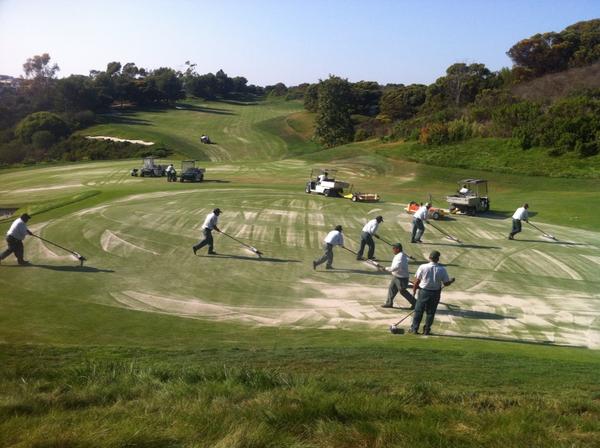 ChrisJenningsSP's tweet image. Successful greens aerification. #2left #PelicanHill