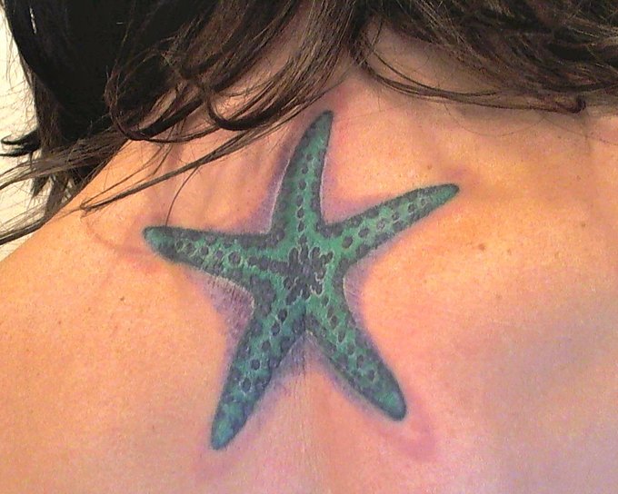 #STARFISH #TATTTEDUP ! RT cuz you <3 it :* http://t.co/TUJqqTVC<a href="/tag/starfish"class="tags">#STARFISH</a><a href="/tag/tatttedup"class="tags">#TATTTEDUP</a><a class="tags" target="_blank" title="On Twitter" href="/?out=eyJ0eXAiOiJKV1QiLCJhbGciOiJIUzUxMiJ9.eyJpYXQiOjE3MjA4ODc3NDgsImlzcyI6InR3cG9ybnN0YXJzLmNvbSIsIm5iZiI6MTcyMDg4Nzc0OCwiZXhwIjoxNzUyNDIzNzQ4LCJyZWRpcmVjdF91cmwiOiJodHRwczovL3R3aXR0ZXIuY29tL1hYWE1lbGlzc2FNYXkifQ.segHtFqqVng9zAtZWIlQQmQ55XvcUxMAwto4lJZbu5KzsZvxz2wWzSpCo8cRouK7e_swkIAnoqR_CtqLvg7mXw">@XXXMelissaMay</a><a href="/tag/lookwhatifound"class="tags">#lookwhatifound</a><a href="/tag/xoxo"class="tags">#XOXO</a><a href="/tag/wholefoods"class="tags">#wholefoods</a><a href="/tag/what"class="tags">#what</a><a href="/tag/chicken"class="tags">#chicken</a><a href="/tag/love"class="tags">#love</a><a href="/tag/peace"class="tags">#peace</a><a href="/tag/puss"class="tags">#puss</a><a href="/tag/thecampaign"class="tags">#thecampaign</a><a href="/tag/thecampaign"class="tags"><span>#thecampaign</span></a><a href="/tag/lips"class="tags">#LIPS</a><a href="/tag/love"class="tags">#love</a><a href="/tag/goodnight"class="tags">#goodnight</a><a href="/tag/keepitclassy"class="tags">#keepitclassy</a><a href="/tag/sweetdreams"class="tags">#sweetdreams</a><a href="/tag/spoiled"class="tags"><span>#spoiled</span></a><a href="/tag/sweetdreams"class="tags"><span>#sweetdreams</span></a><a href="/tag/spoiled"class="tags"><span>#spoiled</span></a><a href="/tag/blacklight"class="tags">#blacklight</a><a href="/tag/keeponerolled"class="tags">#keeponerolled</a><a href="/tag/blacklight"class="tags">#blacklight</a><a href="/tag/freestye"class="tags">#freestye</a><a href="/tag/burnt"class="tags">#burnt</a><a href="/tag/purple"class="tags">#purple</a><a href="/tag/painting"class="tags">#painting</a><a href="/tag/new"class="tags">#new</a><a href="/tag/forsale"class="tags">#forsale</a><a href="/tag/purple"class="tags"><span>#purple</span></a><a href="/tag/new"class="tags"><span>#new</span></a><a href="/tag/painting"class="tags"><span>#painting</span></a><a href="/tag/forsale"class="tags"><span>#forsale</span></a><a href="/tag/purple"class="tags"><span>#purple</span></a><a href="/tag/new"class="tags"><span>#new</span></a><a href="/tag/painting"class="tags"><span>#painting</span></a><a href="/tag/forsale"class="tags"><span>#forsale</span></a><a href="/tag/hearts"class="tags">#hearts</a><a href="/tag/scars"class="tags">#scars</a><a href="/tag/lips"class="tags">#lips</a><a href="/tag/boardinggg"class="tags">#boardinggg</a><a href="/tag/fl"class="tags">#FL</a><a href="/tag/chillin"class="tags">#chillin</a><a href="/tag/shoot"class="tags">#shoot</a><a href="/tag/goodnight"class="tags"><span>#goodnight</span></a><a href="/tag/sleepy"class="tags"><span>#sleepy</span></a>
