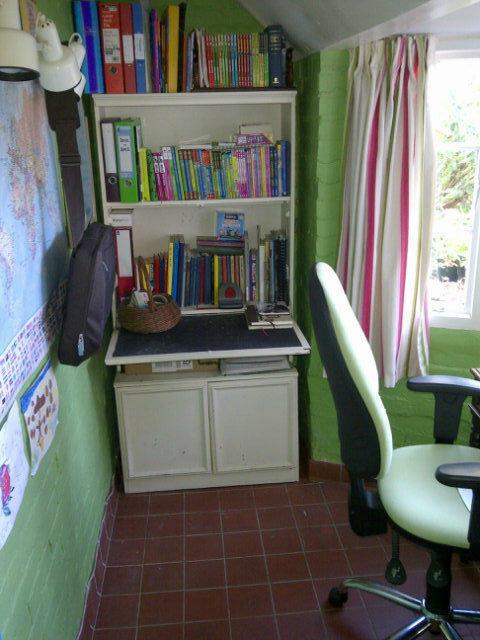 LucyCourtenay1's tweet image. I got LOADS done today in the coal hole. Seriously. #workavoidance #bleach