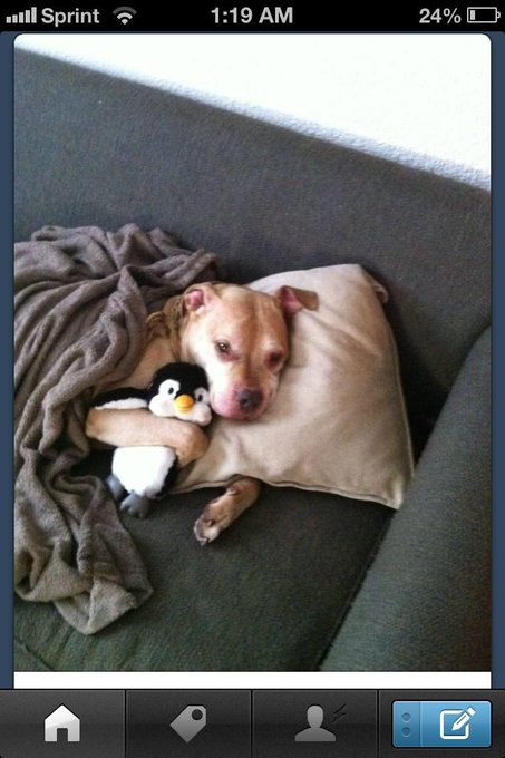 Watch BAEsquiat's leaked NSFW photo on TwXstars