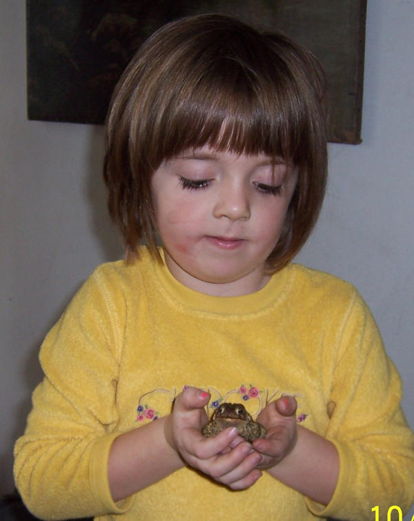canbum's tweet photo. @turtleyaya my daughter loves your show and has some pet toads..she likes to name them this ones grumpy http://t.co/iv8bQlgM