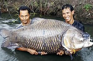 AnglerandHunter tweet picture