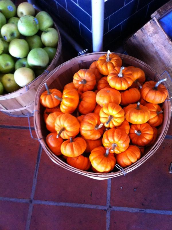 Spanish0420's tweet photo. Give the secretaries a pumpkin. They love pumpkins   Itssss likeee http://t.co/FblS9SeK