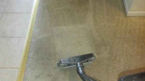 dmsclean's tweet image. Carpet cleaning in Norwalk
