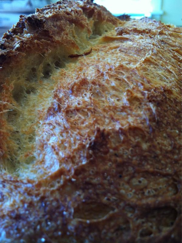 Matt McIntosh (@evocraftbakery) on Twitter photo 