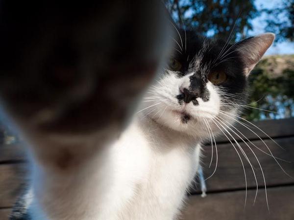 Vishenko2368's tweet image. 