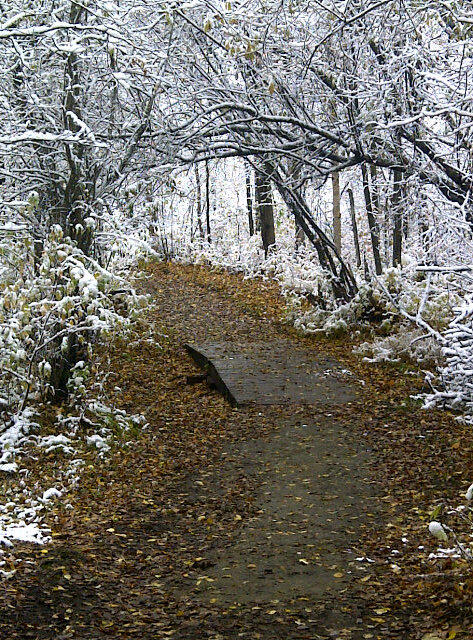 Courtacopia's tweet image. So pretty outside! &amp;lt;3