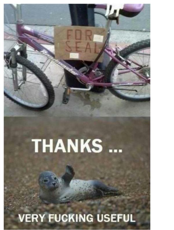 bamthebastard's tweet image. @TheRealSkuff #destroyeverything #imbroke #chancingit lol