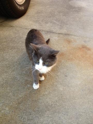 Watch theRadBrad's leaked NSFW photo on TwXstars