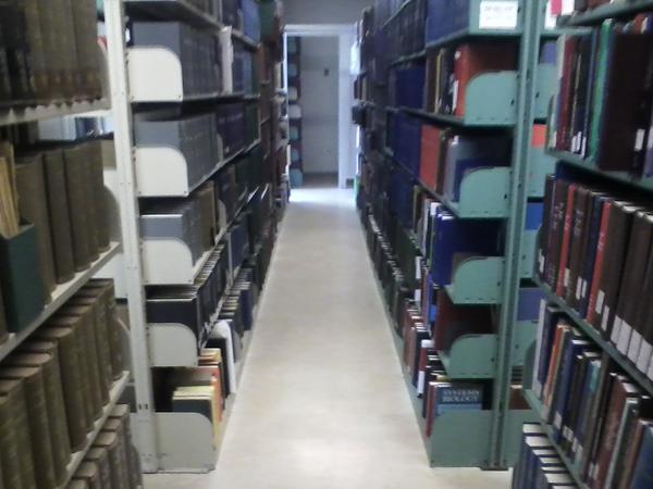 mcwestmoreland's tweet image. Walking in the library makes for the perfect blindside block. #ScienceLibrary #BigHit #SkullSticker