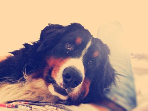 macson (@maca_silveyra) on Twitter photo 