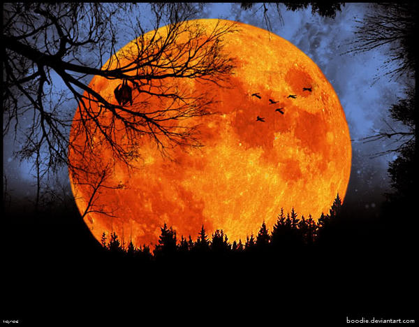 ShanCanPerry's tweet image. I &amp;lt;3 the Harvest Moon!