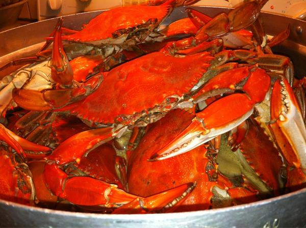 ricosanchez407's tweet photo. Blue crabs on deck http://t.co/GCFgWJTb