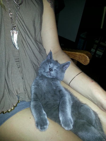 Good morning.... Just a few more minutes....zzz