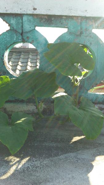 Yoon, Doyoul. tweet media