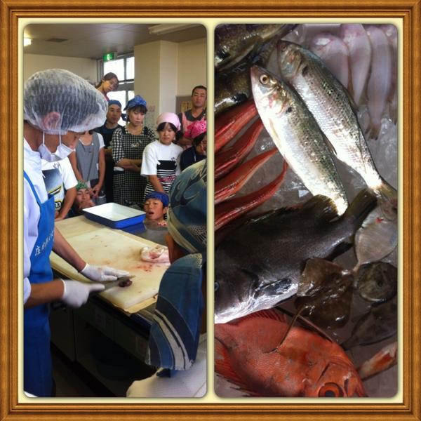 kouhou73's tweet photo. 庄内浜文化伝道師講座
今回は中学生のクラス行事として「親子料理教室」を行いました。
アジを1人1尾さばいて豆腐と混ぜハンバーグを作りました。 http://t.co/13Dcb1W9