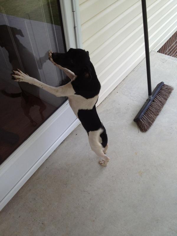 Nick_Gibson2's tweet image. #huntingmachine @haleyreed_44  lmfao!