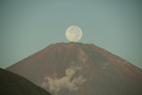 埋め込み画像への固定リンク