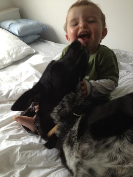 SkyeThompson6's tweet photo. Wasn't expecting him to practice 'kissy kissy' with the dog! http://t.co/PSUh6eGx