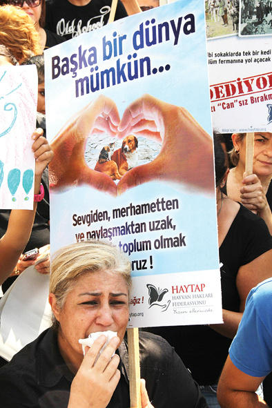 @haysevcom <a href="/HayvanSeverleri/">Hayvan Severler</a> ÖLÜM YASASINA HAYIR: HAYVANSEVERLER EYLEMDE GÖZYAŞLARINI TUTAMADI cukurovapress.com/haber.php?id=1…