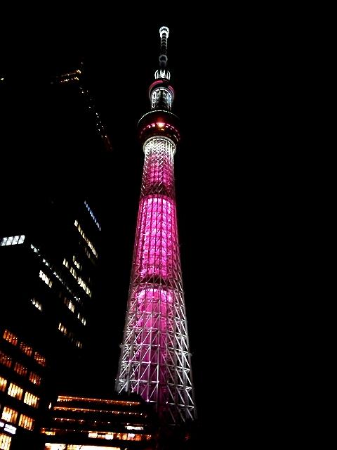 埋め込み画像への固定リンク