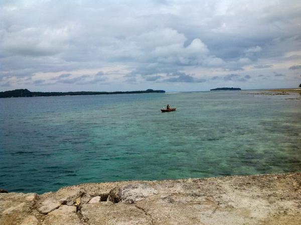 fegarmy's tweet image. 