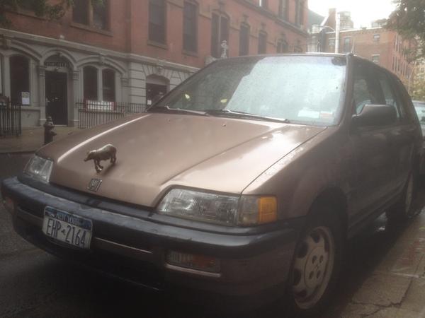 Jason D'Agrosa tweet media