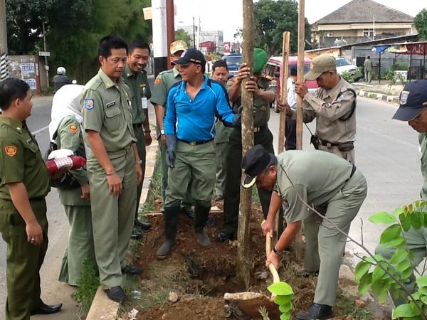 Penanaman pohon trembesi di kecamatan Cinere dan Limo.