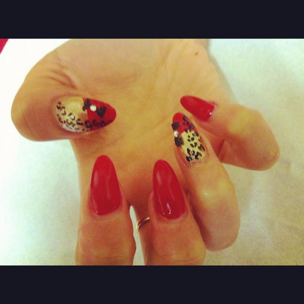 stephhankin's tweet image. 