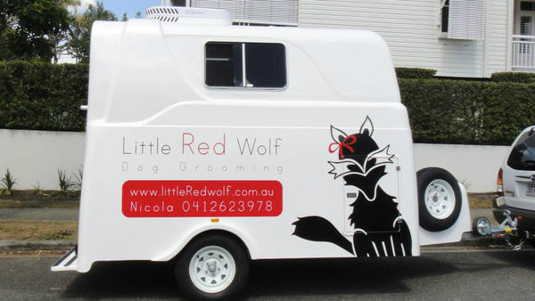 Savel's tweet photo. Little Red Wolf, operating in the Clayfield (QLD) area. http://t.co/Jbk3i7PJ