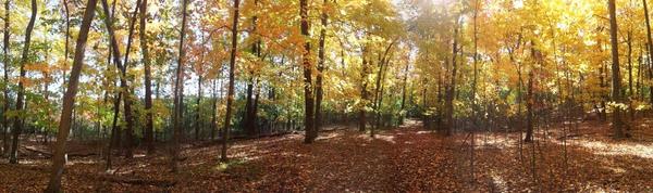CampWhitcomb's tweet photo. Beautiful fall day at Camp Whitcomb Mason. http://t.co/wVEPx2sw