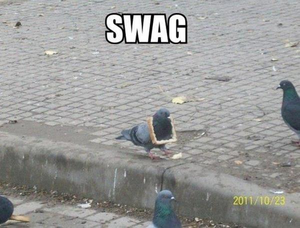verveelnl's tweet photo. 100% SWAG! http://t.co/xaZdhjUQ