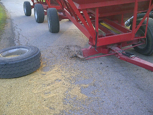 Third customers wagon this year. NK beans just too heavy.