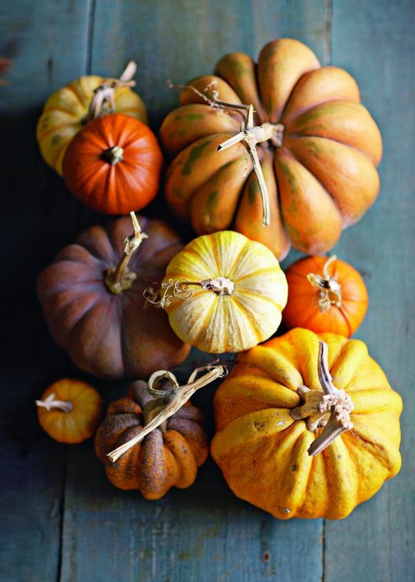 WilliamsSonoma tweet picture