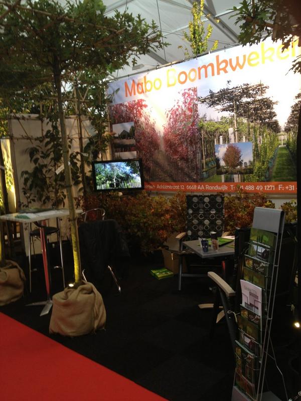 MaboBomenTrees's tweet image. Onze stand #beurs #TCO #treevillage